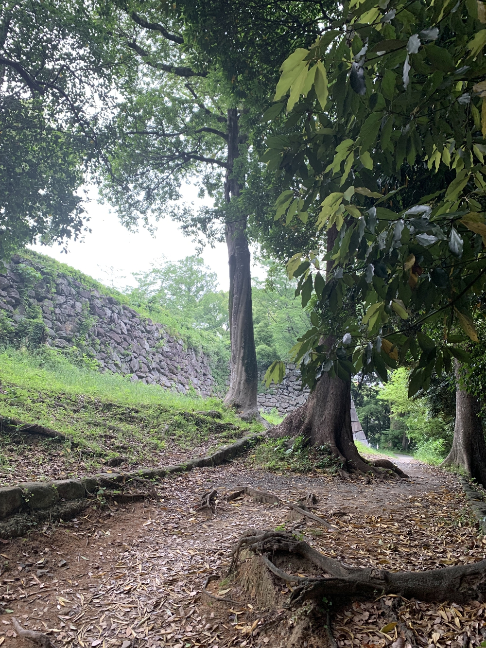福岡　西公園＋大濠公園＋福岡城周回の写真26