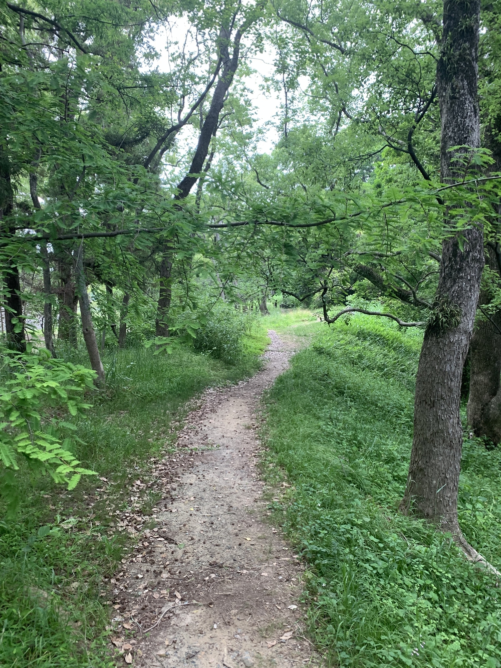 福岡　西公園＋大濠公園＋福岡城周回の写真28
