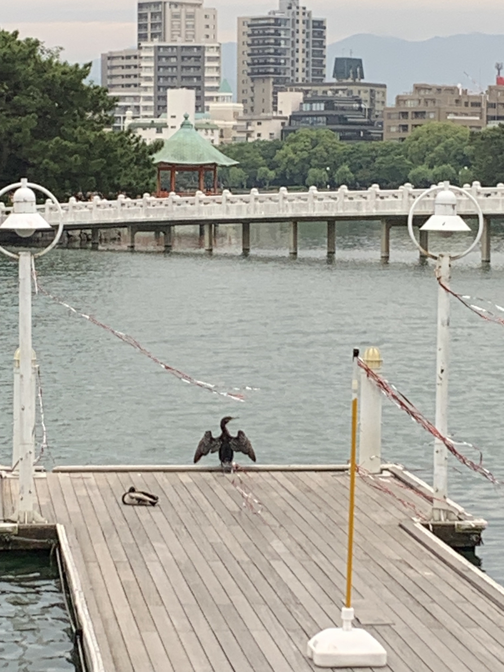 福岡　西公園＋大濠公園＋福岡城周回の写真32