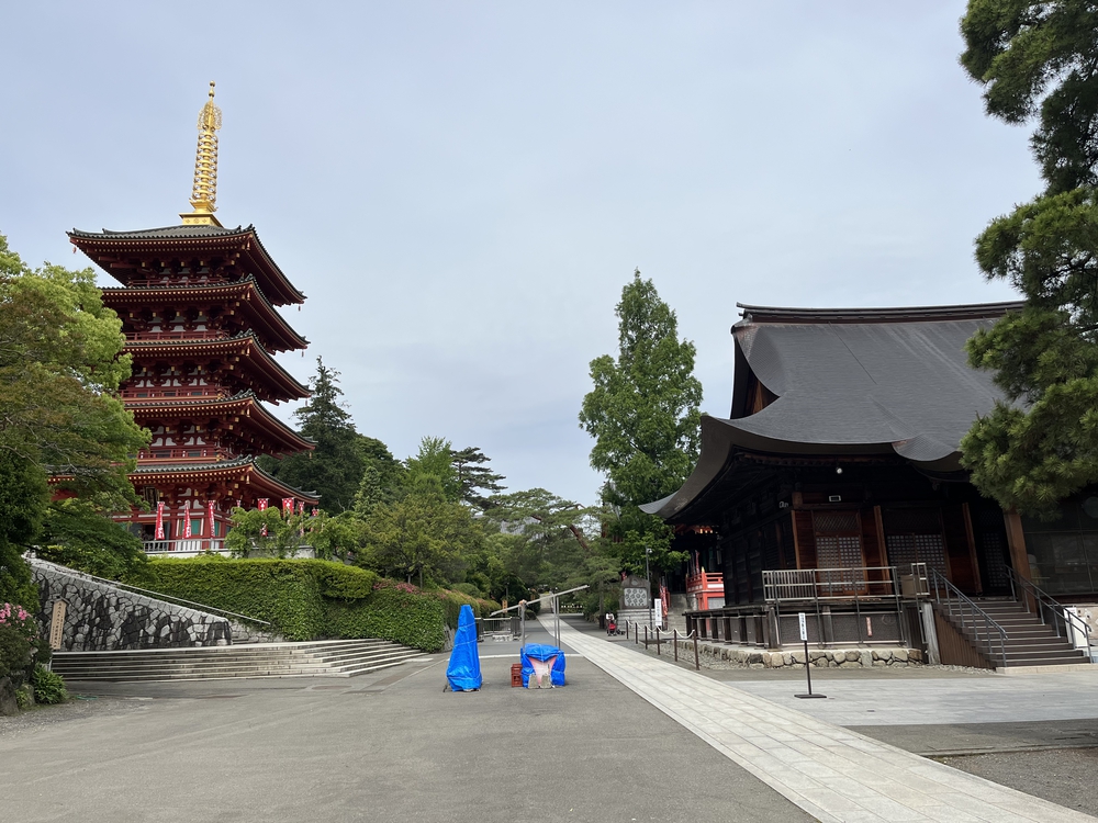 東京都多摩地域プチトレランと丘陵からの絶景コースの写真9