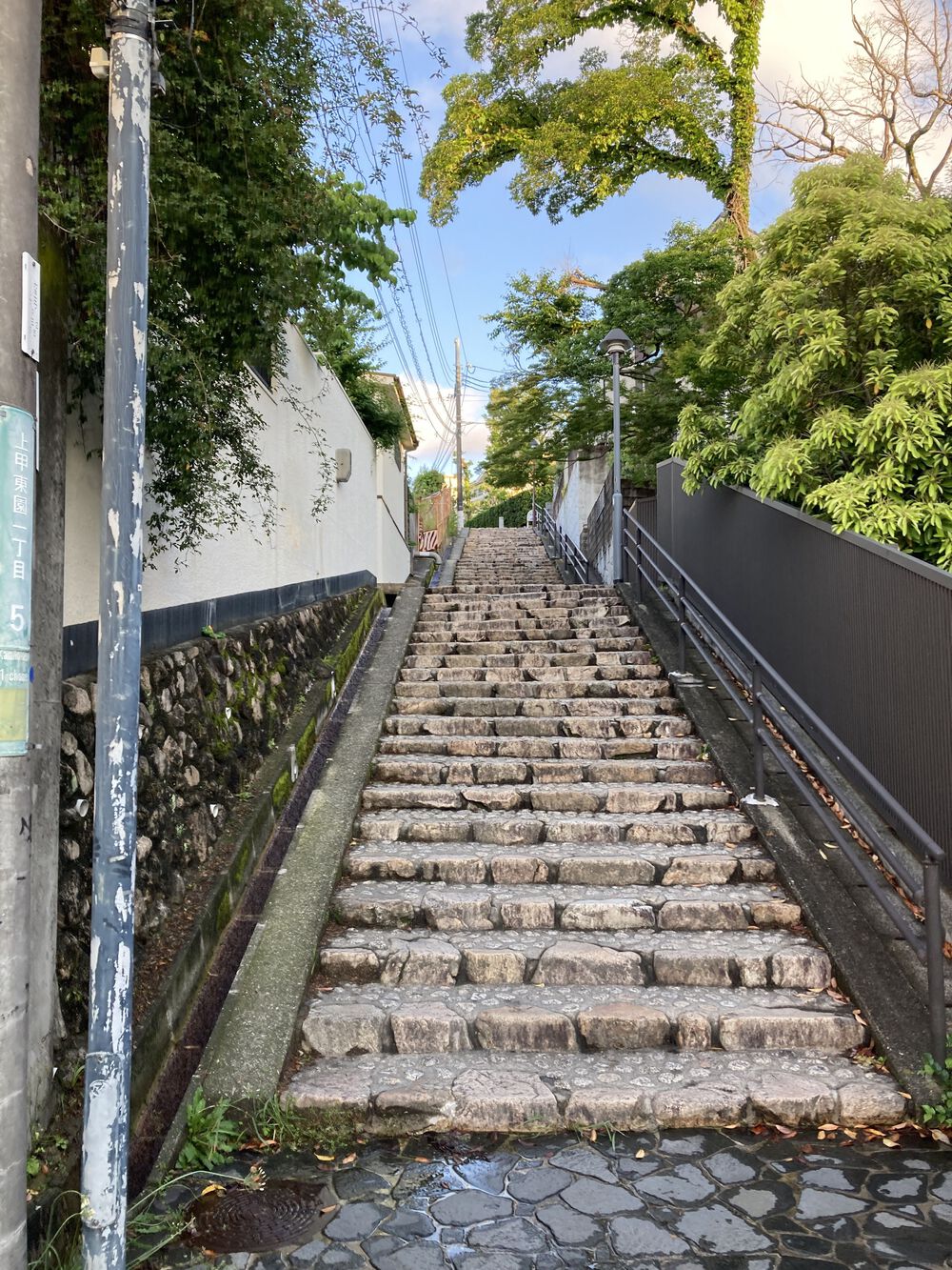 尼崎から最も近い！ 低山トレイル”甲山”【8㎞】の写真4