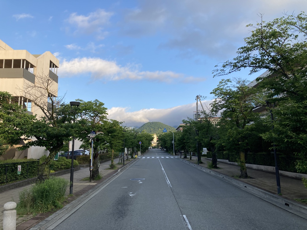 尼崎から最も近い！ 低山トレイル”甲山”【8㎞】の写真5