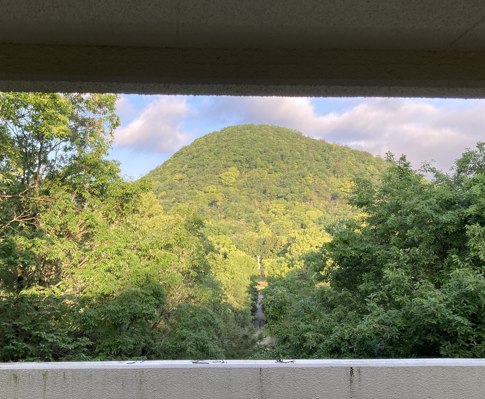 尼崎から最も近い！ 低山トレイル”甲山”【8㎞】の写真8