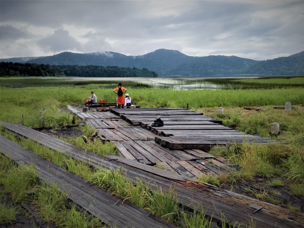 一度で両方　尾瀬沼と尾瀬ヶ原の写真3