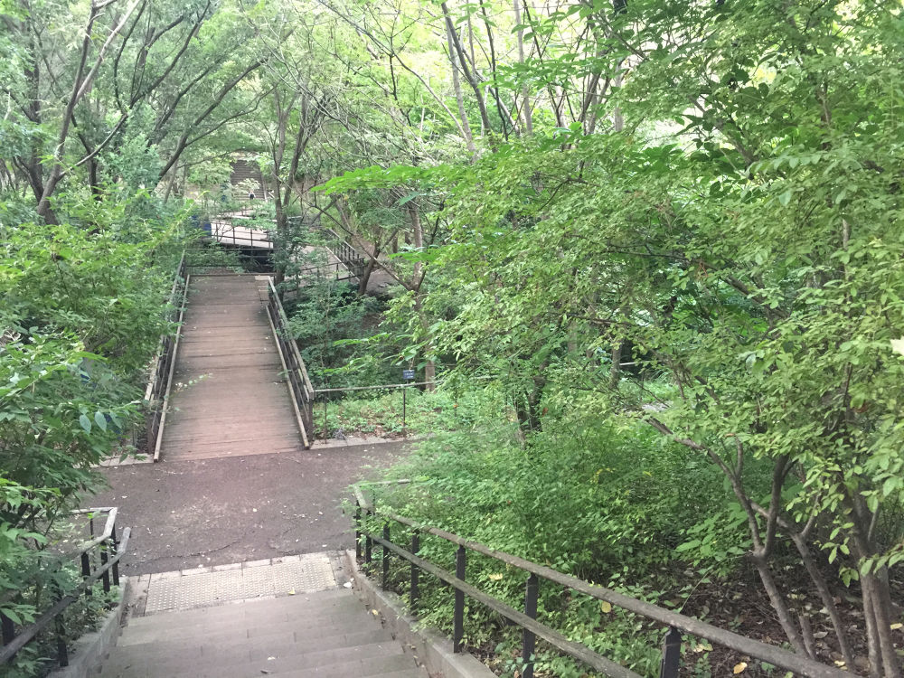 赤羽スポーツの森公園〜自然観察公園コースの写真3