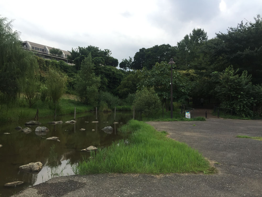 赤羽スポーツの森公園〜自然観察公園コースの写真4