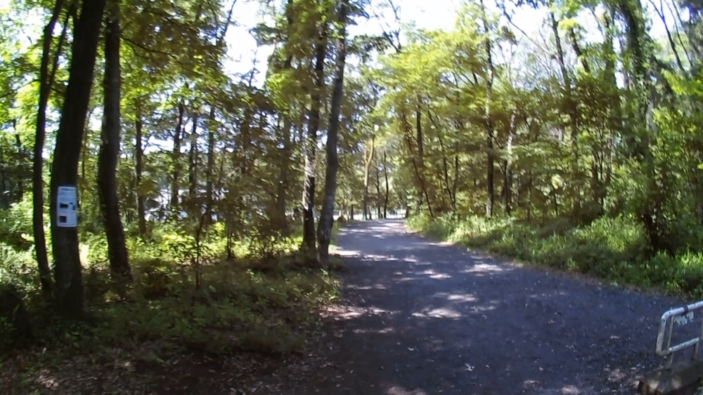 埼玉県日高市サイボクから入間川を巡る１３㌔のランニングの写真4