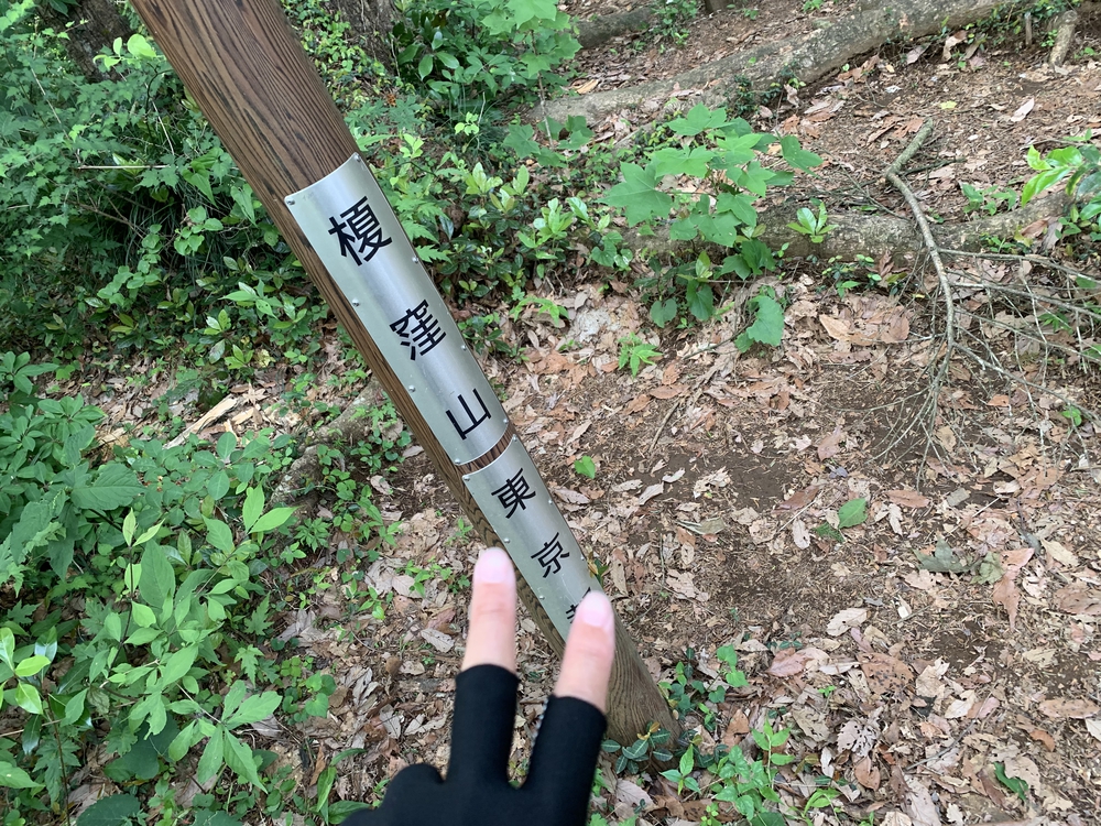 南高尾セブンサミッツ 時計回りの写真3