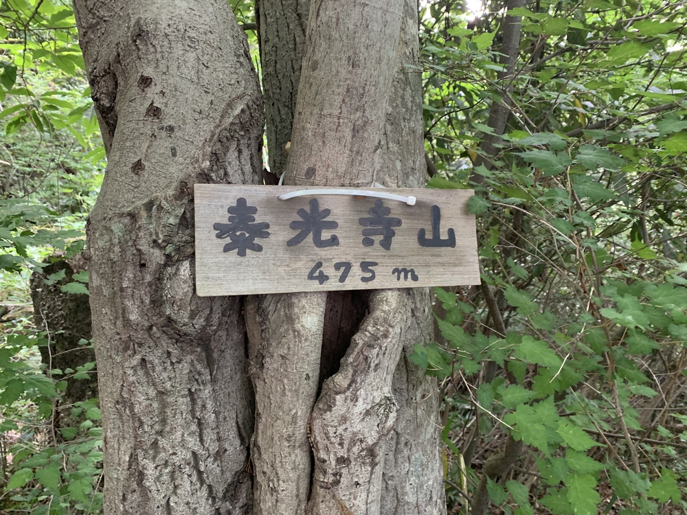 南高尾セブンサミッツ 時計回りの写真4