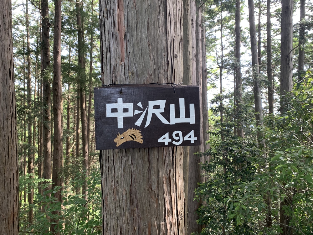 南高尾セブンサミッツ 時計回りの写真5