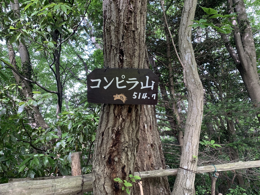 南高尾セブンサミッツ 時計回りの写真6