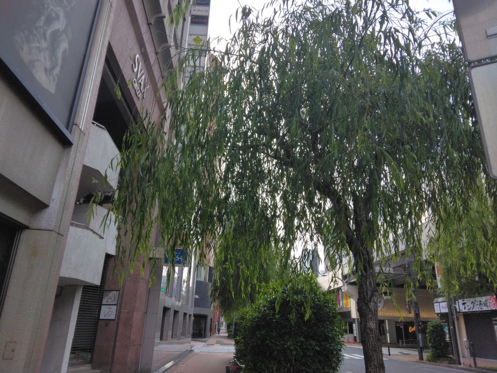 始発に乗って銀座ぶらぶらランニングの写真17