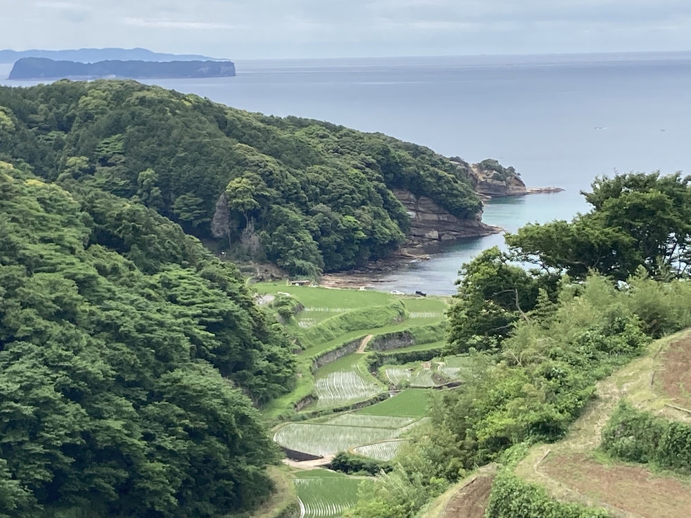 棚田から見る景色をゴールのご褒美にの写真6