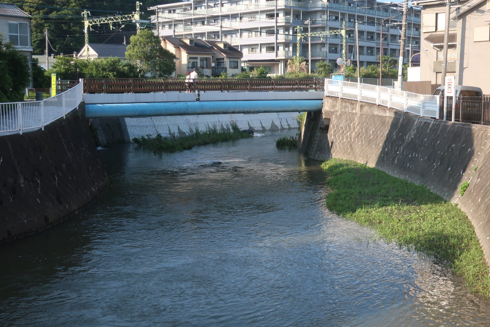 逗子旅 & Run for 湯♨️ 田越川コース, 東逗子　あづま湯の写真8