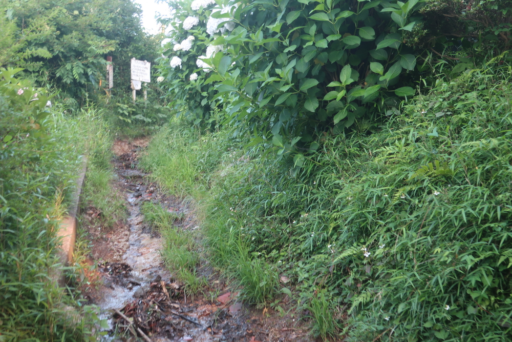 逗子旅 & Run for 湯♨️ , 東逗子あづま湯から二子山 周回の写真3