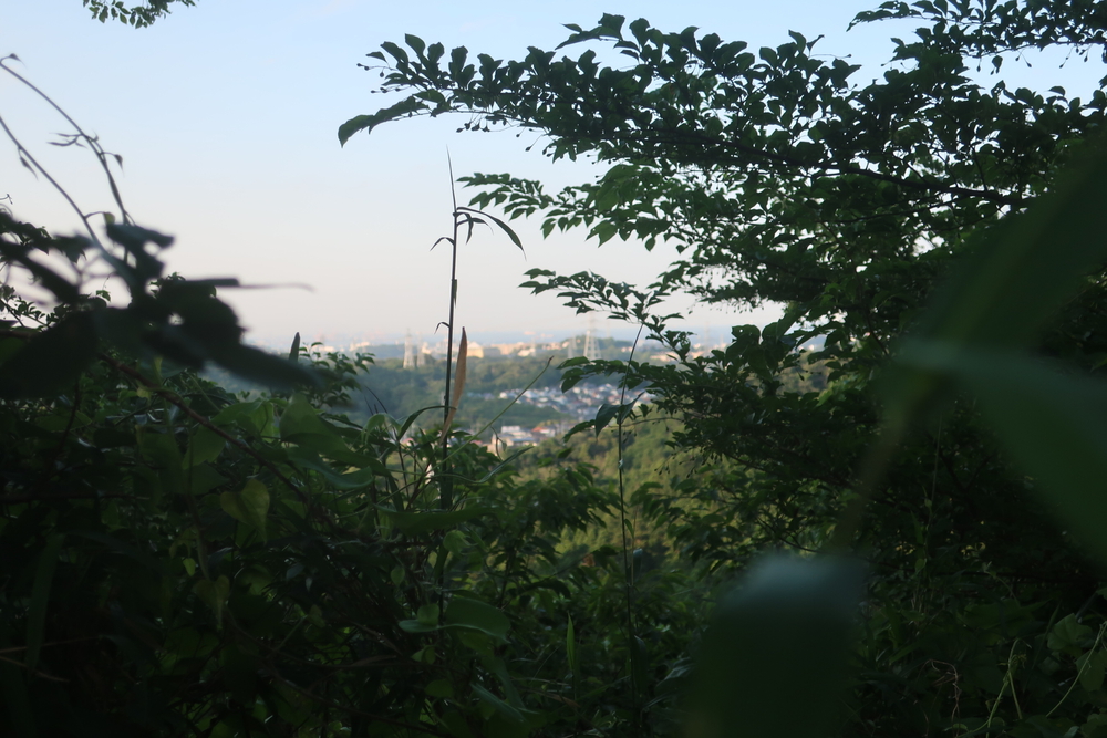 逗子旅 & Run for 湯♨️ , 東逗子あづま湯から二子山 周回の写真4