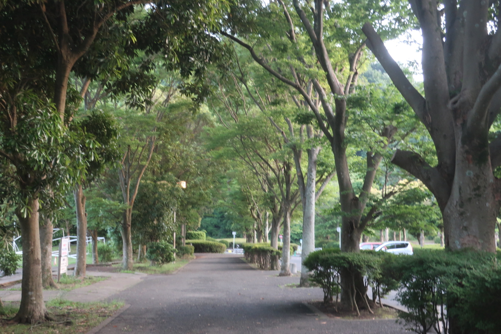 逗子旅 & Run for 湯♨️ , 東逗子あづま湯から二子山 周回の写真8