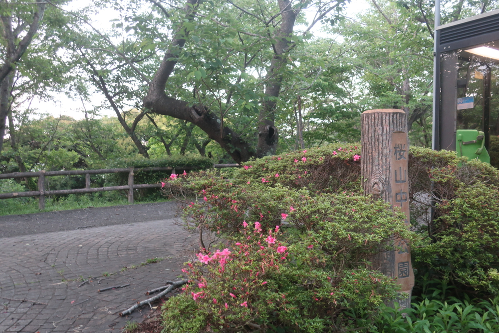 逗子旅 & Run for 湯♨️ , 東逗子あづま湯から二子山 周回の写真12