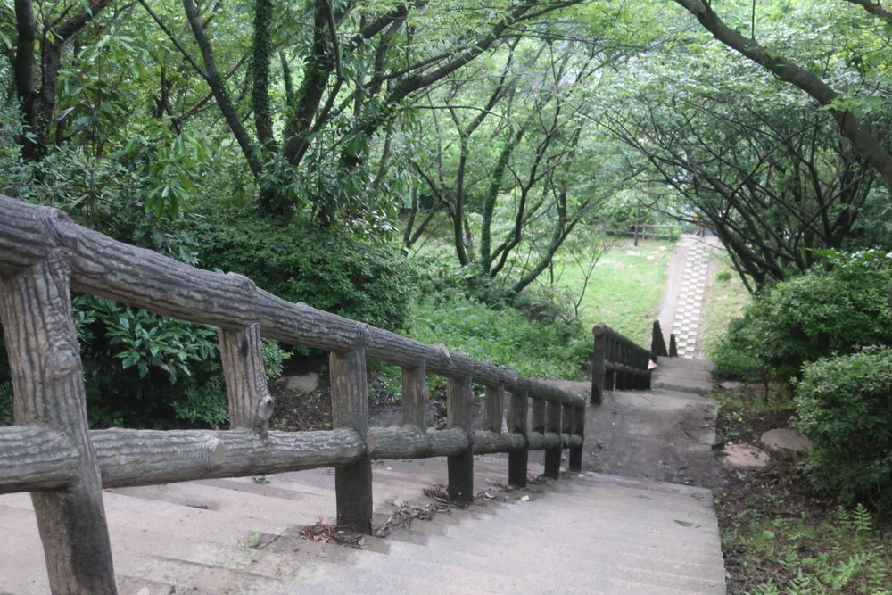 逗子旅 & Run for 湯♨️ , 東逗子あづま湯から二子山 周回の写真13