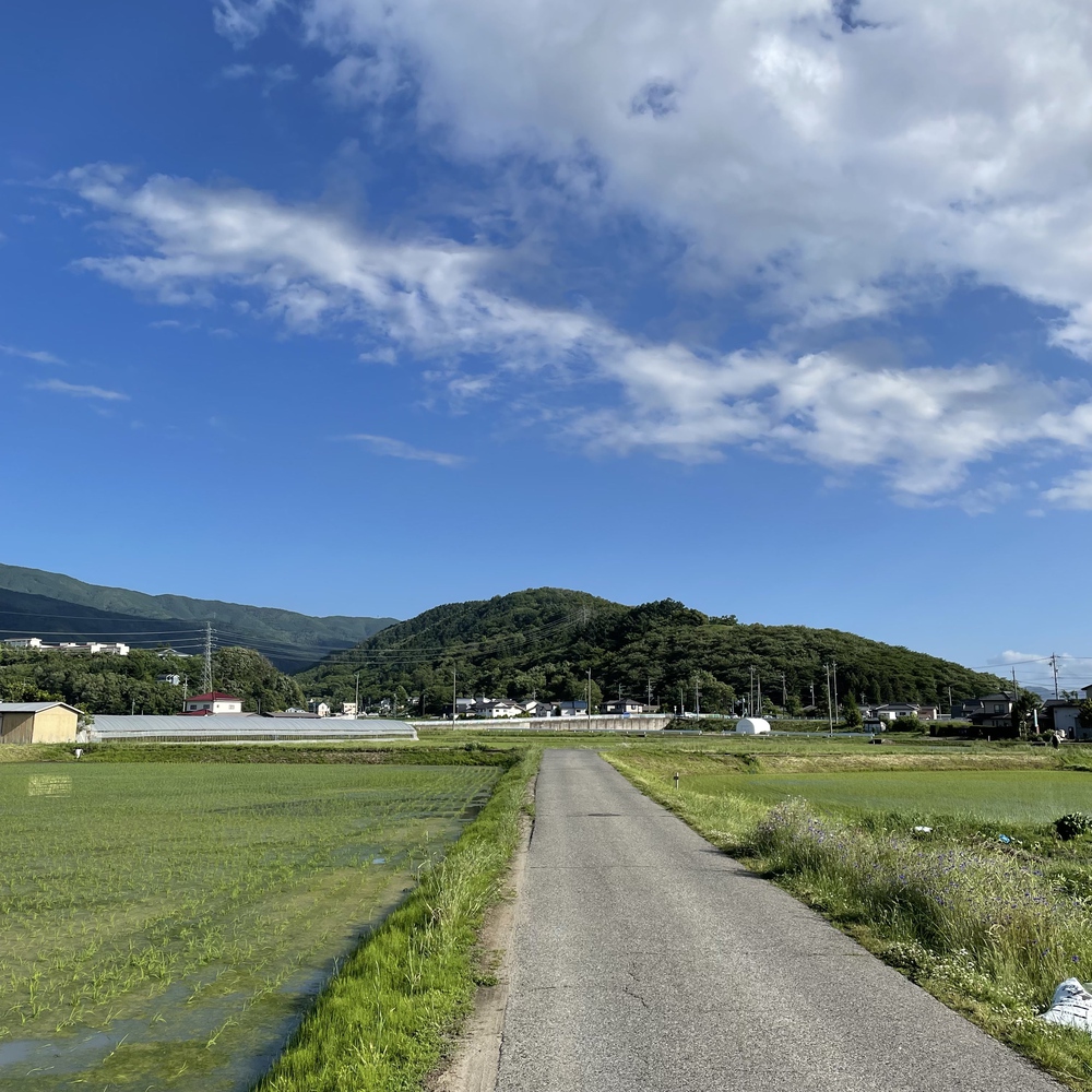 展望爽快！松本駅から弘法山古墳への写真7