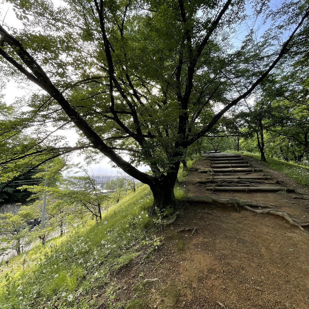 展望爽快！松本駅から弘法山古墳への写真12
