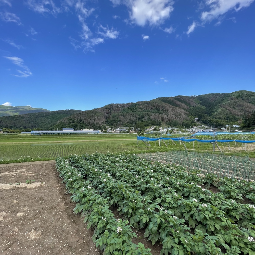 展望爽快！松本駅から弘法山古墳への写真15