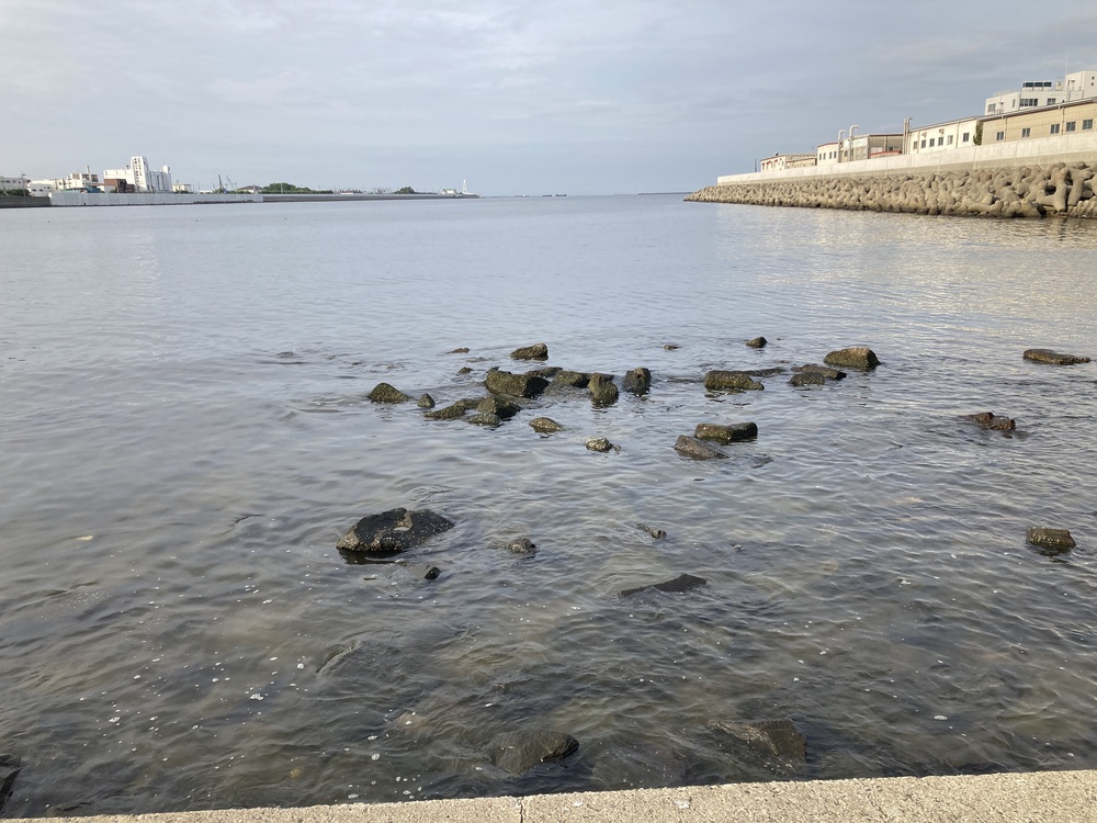 尼崎にも三保の松原が！武庫川下流ラン♪の写真7