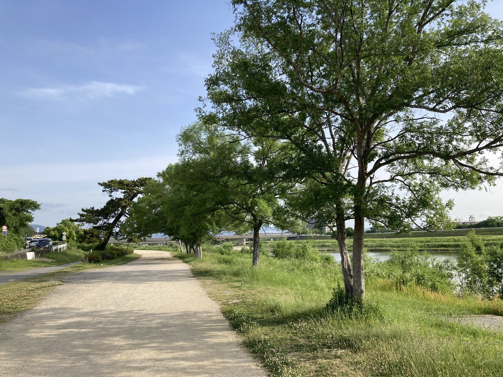 尼崎にも三保の松原が！武庫川下流ラン♪の写真8