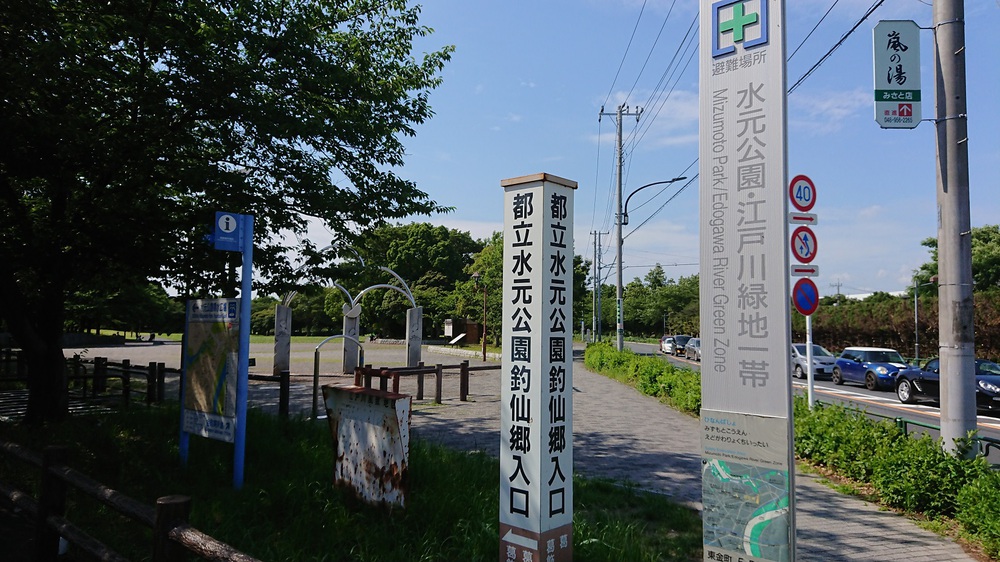 都内の花菖蒲の名所を巡る街ランの写真4