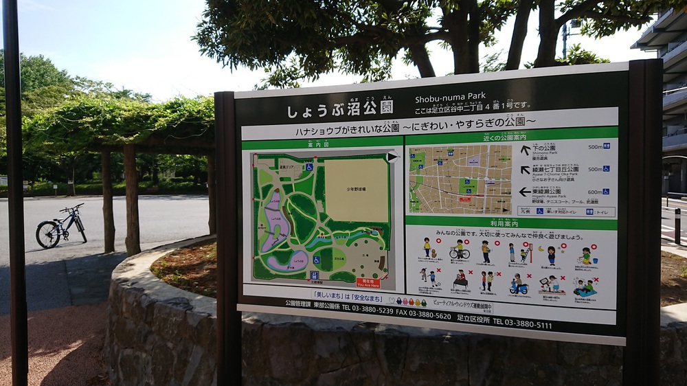 都内の花菖蒲の名所を巡る街ランの写真6