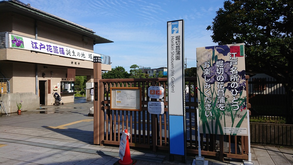 都内の花菖蒲の名所を巡る街ランの写真8