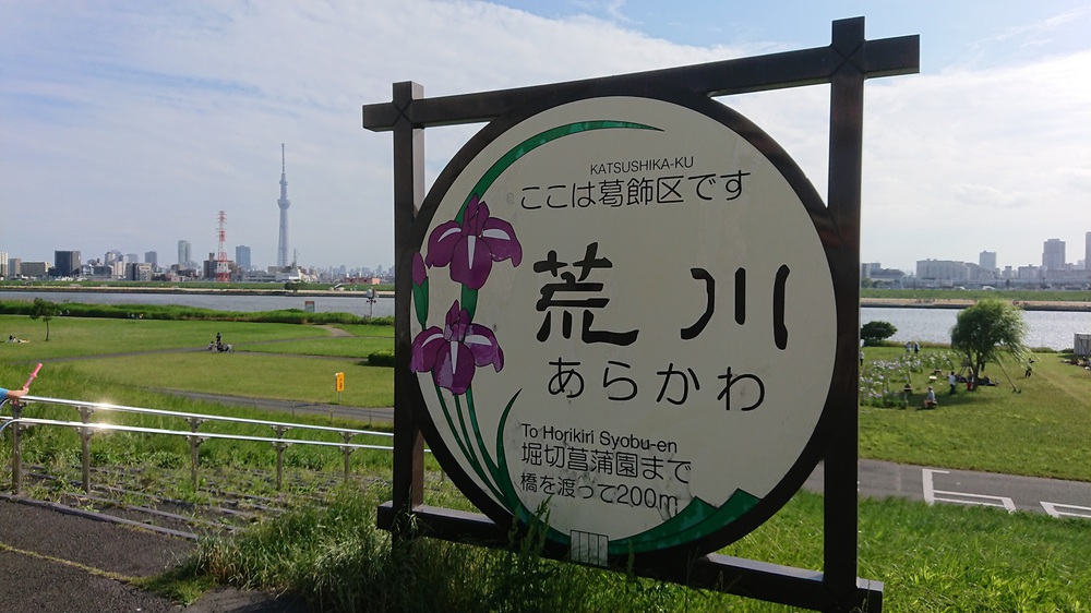 都内の花菖蒲の名所を巡る街ランの写真9