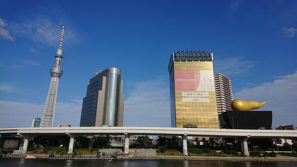 都内の花菖蒲の名所を巡る街ランの写真10