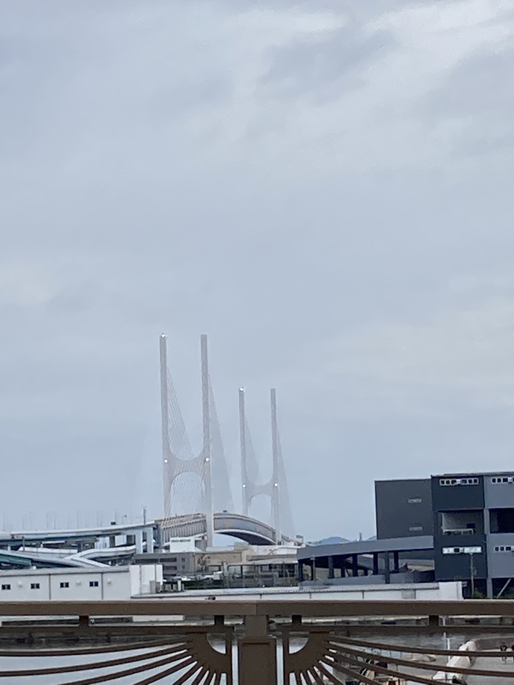 阪神芦屋から芦屋公園、潮風大橋、芦屋浜の花巡りジョギングの写真13