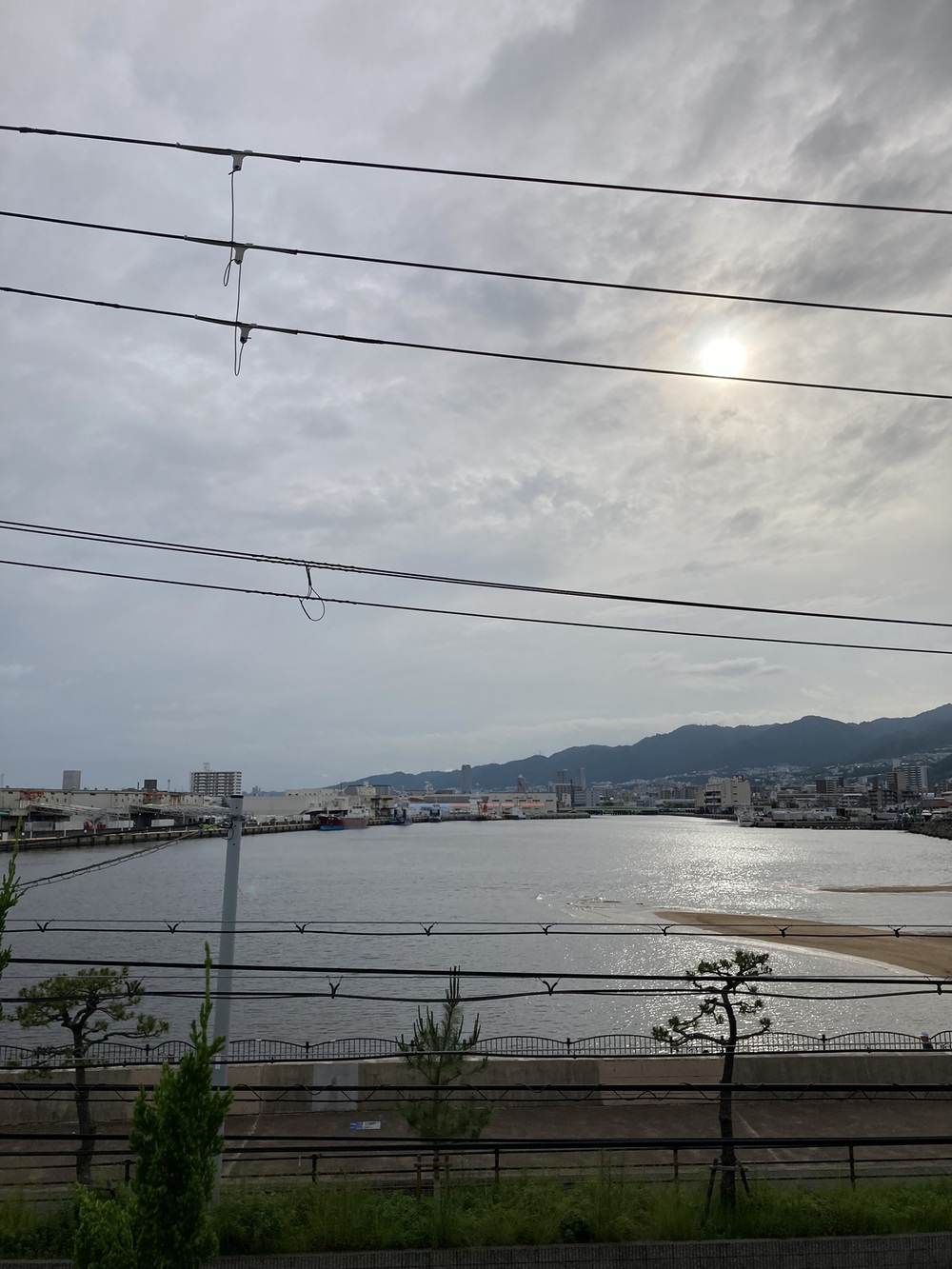 阪神芦屋から芦屋公園、潮風大橋、芦屋浜の花巡りジョギングの写真14