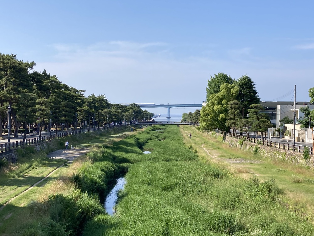 阪神芦屋から芦屋公園、潮風大橋、芦屋浜の花巡りジョギングの写真15