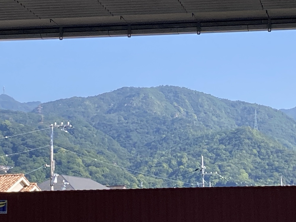 阪神芦屋から芦屋公園、潮風大橋、芦屋浜の花巡りジョギングの写真16