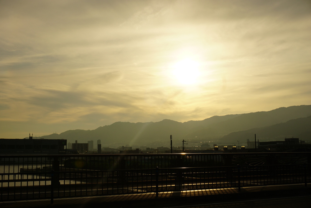 阪神芦屋から芦屋公園、潮風大橋、芦屋浜の花巡りジョギングの写真17
