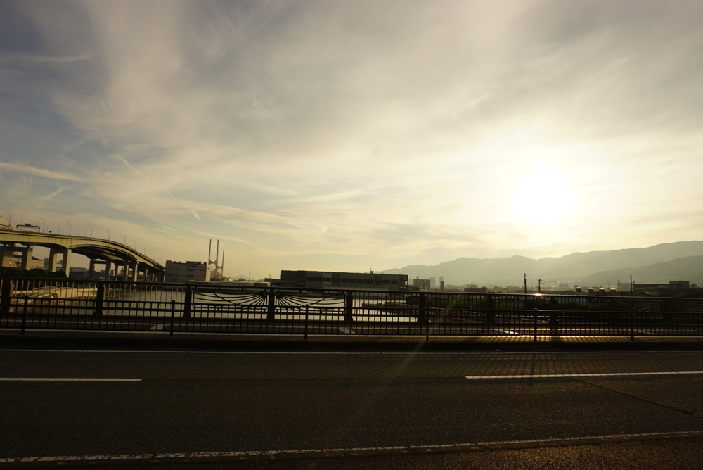 阪神芦屋から芦屋公園、潮風大橋、芦屋浜の花巡りジョギングの写真18