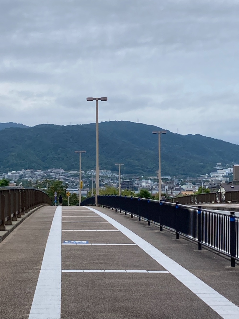 阪神芦屋から芦屋公園、潮風大橋、芦屋浜の花巡りジョギングの写真19