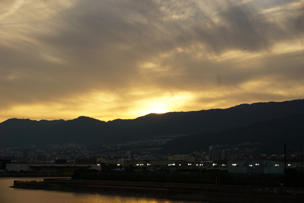 阪神芦屋から芦屋公園、潮風大橋、芦屋浜の花巡りジョギングの写真20
