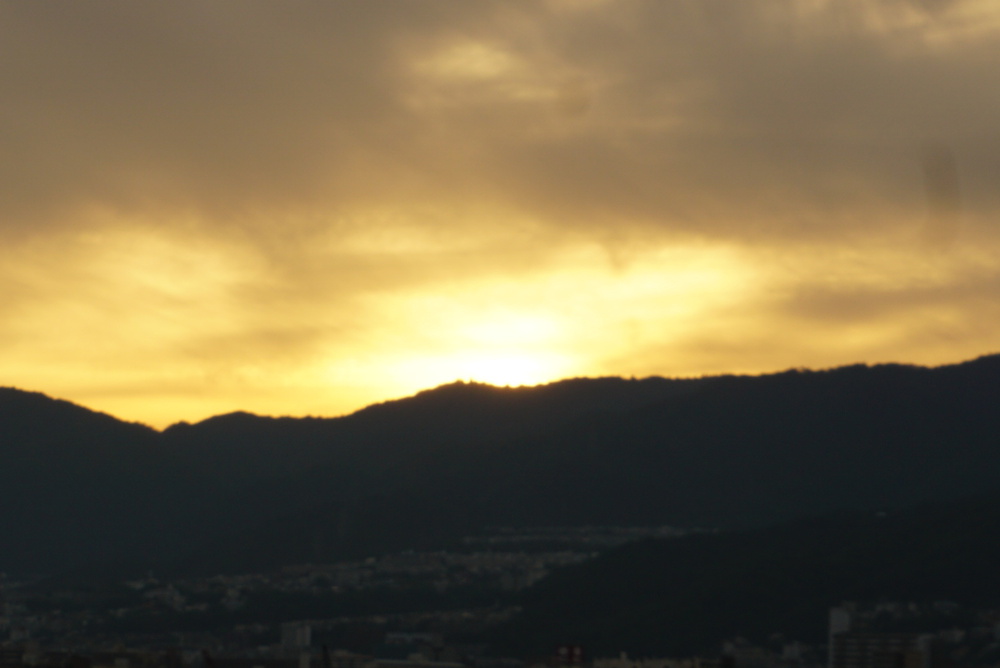 阪神芦屋から芦屋公園、潮風大橋、芦屋浜の花巡りジョギングの写真21