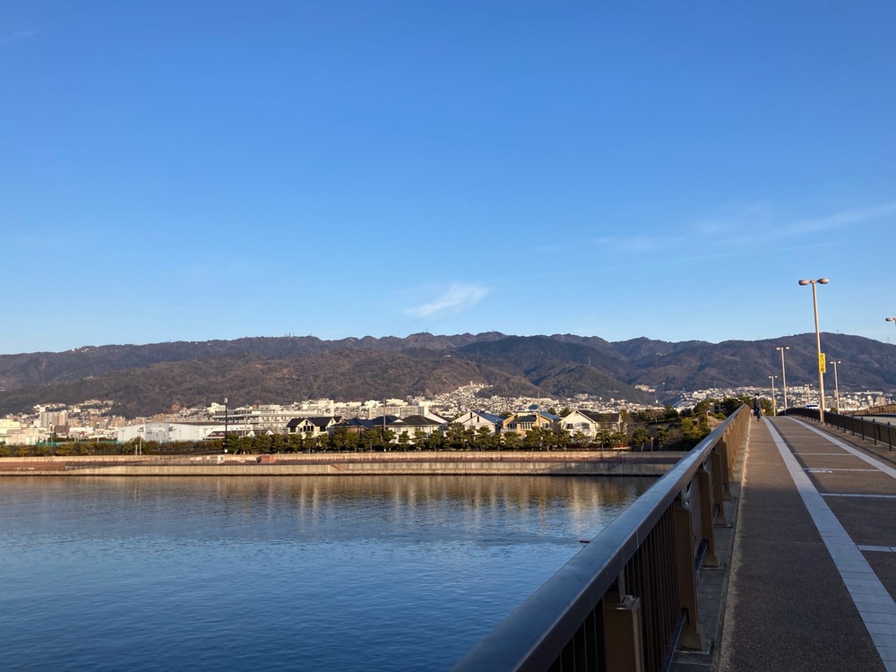 阪神芦屋から芦屋公園、潮風大橋、芦屋浜の花巡りジョギングの写真22