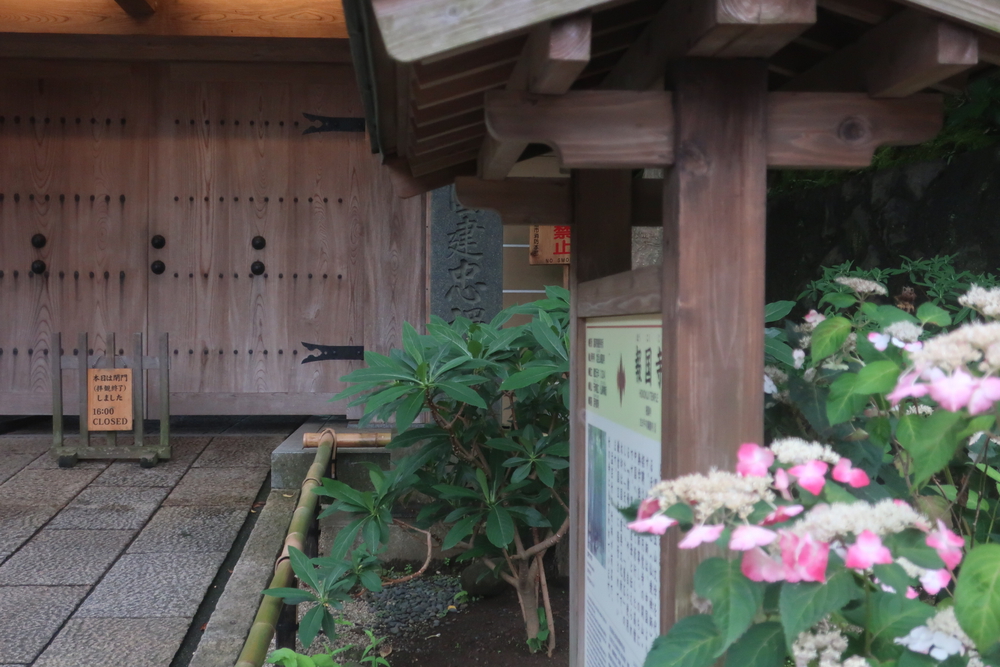 Run for 湯♨️ 大船　ひばり湯の写真4