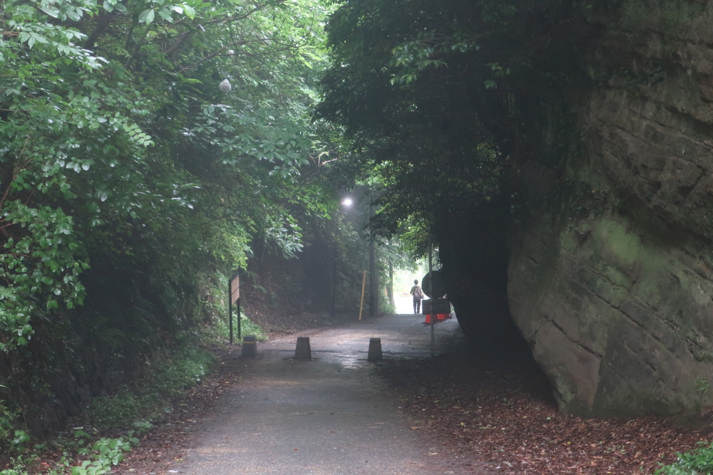 Run for 湯♨️ 大船　ひばり湯の写真7