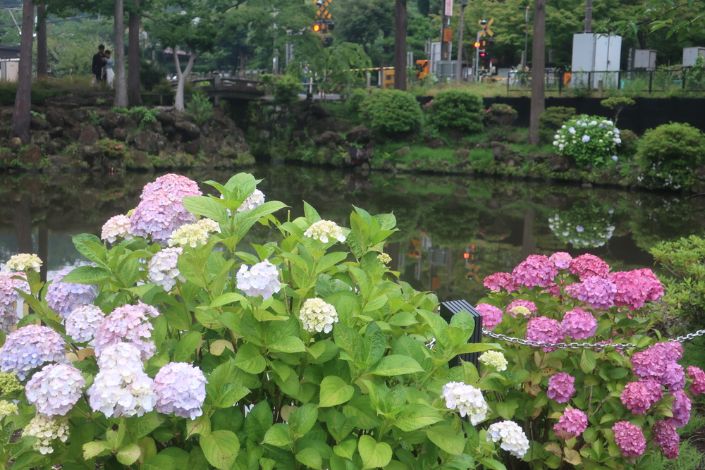 Run for 湯♨️ 大船　ひばり湯の写真9