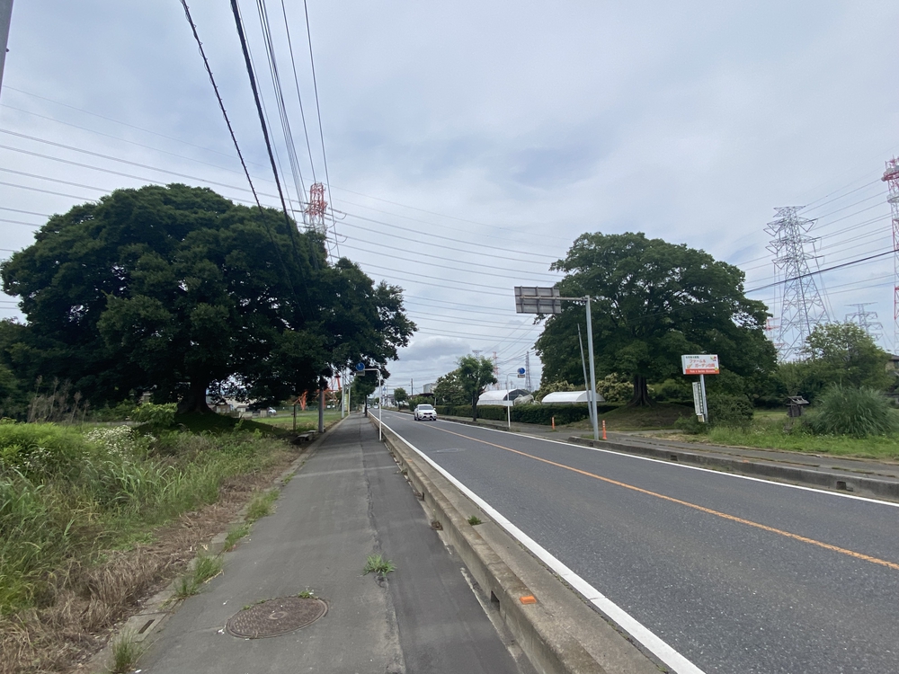 日光御成道ラン（幸手宿〜江戸）の写真3