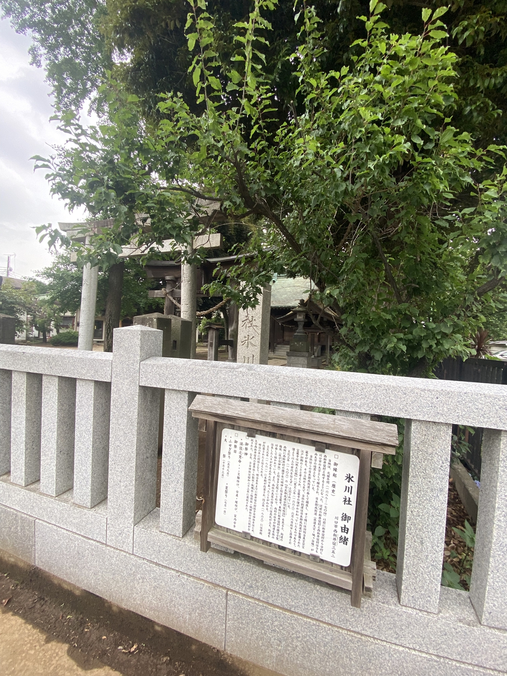 日光御成道ラン（幸手宿〜江戸）の写真5