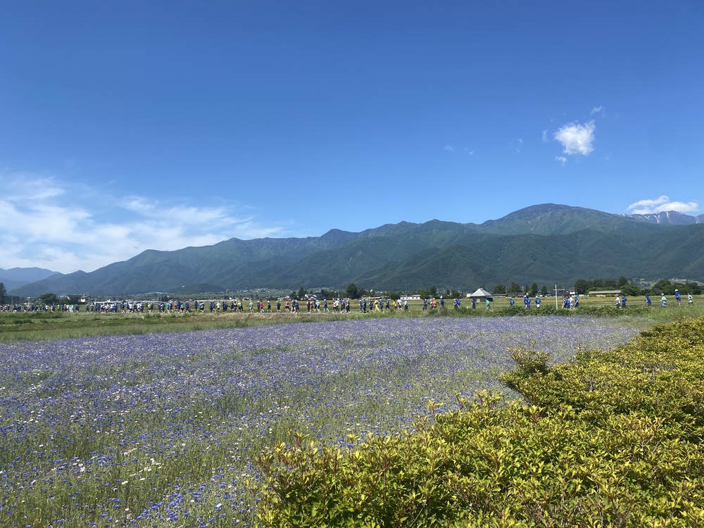 信州安曇野ハーフマラソン大会２０２３の写真4