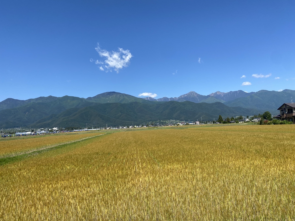 信州安曇野ハーフマラソン大会２０２３の写真5